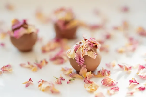 Kaszinó Chilli Spins Android/iOS Alkalmazás